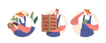 Ilustración de Los iconos o avatares redondos aislados del vector con los caracteres de los agricultores de la historieta crecen, y entregan fresas frescas a los supermercados, asegurando productos frescos, cultivados localmente. Los trabajadores ganan dinero - Imagen libre de derechos