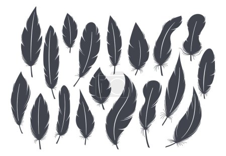 Illustration for Black Feather Silhouettes. Elegant And Intricate Feather Shapes In A Bold Black Silhouette. Perfect For Artistic Designs, Crafting, And Adding A Touch Of Sophistication To Projects. Vector Icons Set - Royalty Free Image