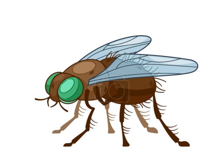 Illustration for Isolated Insect Fly, Agile, Winged Arthropod With A Distinctive Two-wing Structure. Its Play Vital Role In Ecosystems As Pollinator And Contribute To Pest Control. Cartoon Vector Illustration - Royalty Free Image