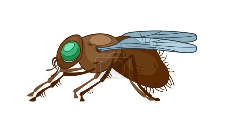 Illustration for Insect Fly Side View Pose. Vector Agile Aerial Creature With Multifaceted Eyes And Delicate Wings Play Crucial Role In Ecosystem As Pollinator And Predator, Showcasing Adaptability And Diverse Species - Royalty Free Image