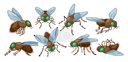 Illustration for Insect Flies Set in Different Poses. Winged Pest Characterized By A Single Pair Of Transparent Wings, Compact Hairy Body, Sting, And Compound Eyes, Delicate Antennae. Dead, Flying, Sitting Pest - Royalty Free Image