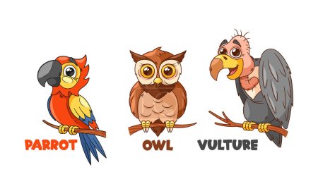 Illustration for Colorful Cartoon Parrot With Vibrant Feathers, Wise And Scholarly Owl, And A Mischievous Vulture With A Sly Grin Create A Lively And Diverse Trio Of Characters. Cartoon Vector Personages Illustration - Royalty Free Image