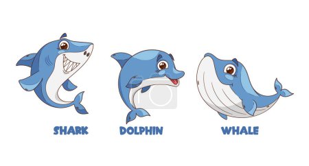 Illustration for Cartoon Sea Animal Characters. Shark, Sharp-toothed, Playful Prankster With Mischievous Grin. Dolphin, Energetic, Friendly Acrobat Known For Flips And Spins. Whale, Gentle, Wise And Serene Ocean Giant - Royalty Free Image