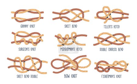 Illustration for Sea Nodes Vector Set. Granny, Fisherman, Surgeons or Bow Knot, Sheet or Double Carrick Bend, Tillers or Midshipman Hitch for Securing Ropes, Sails, And Equipment With Reliable And Efficient Techniques - Royalty Free Image