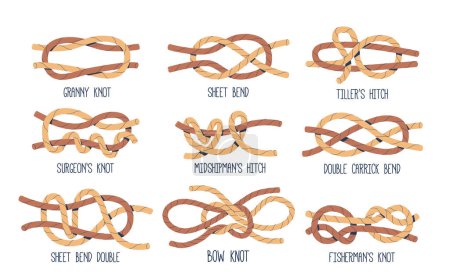 Illustration for Sea Nodes Vector Set. Granny, Fisherman, Surgeons or Bow Knot, Sheet or Double Carrick Bend, Tillers or Midshipman Hitch for Securing Ropes, Sails, And Equipment With Reliable And Efficient Techniques - Royalty Free Image
