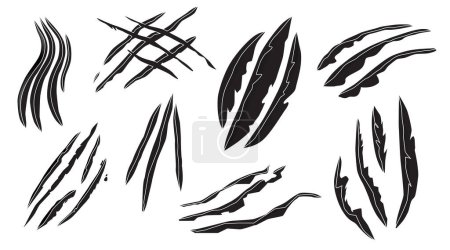 Illustration for Black Claw Scratch Marks Vector Set Isolated on White Background. Sharp, Curved Lines Mimicking Animal Streaks, Aggressive Predatory Creature Talon Shreds , Monochrome Design Elements Collection - Royalty Free Image