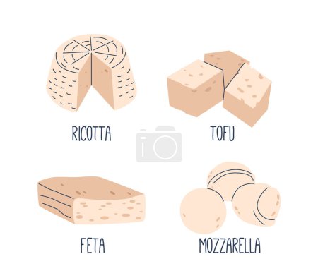 Ricotta, tofu, feta et mozzarella tranches de fromage crémeux doux. Produit laitier polyvalent, ajoute une saveur riche aux plats, complète le vin et sert de collation délicieuse. Illustration vectorielle de bande dessinée