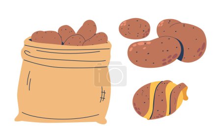 Rustic, Burlap Sack, Bulging With Earthy Potatoes. Each Spud, With Its Rough, Dirt-speckled Skin, Promises Hearty, Comforting Meals From Its Humble, Farm-fresh Origins. Cartoon Vector Illustration
