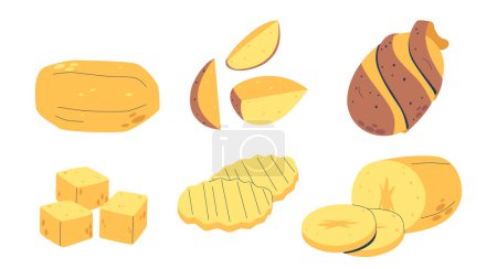 Vector Slicing, Cutting And Dicing Potatoes, Versatile Shapes Set. Thin, Elongated Slices For Gratins, Chunky Cubes or Wedges For Stews, And Fine Dices and Rings For Hash Browns Cooking Ingredients