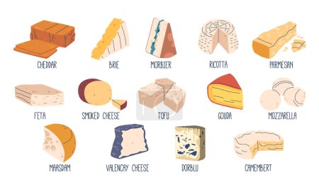 Illustration for Cheese Types. Brie, Morbier And Dorblu, Valencay or Smoked. Camembert, Valencay And Parmesan, Cheddar, Maasdam And Gouda. Ricotta, Tofu, Mozzarella and Tofu Dairy Products. Cartoon Vector Illustration - Royalty Free Image
