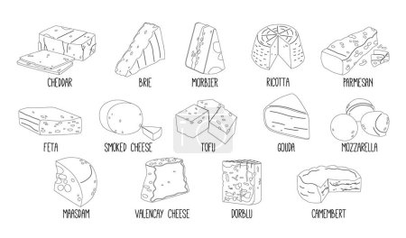 Illustration for Cheese Types. Brie, Morbier And Dorblu, Valencay or Smoked. Camembert, Valencay And Parmesan, Cheddar, Maasdam And Gouda. Ricotta, Tofu, Mozzarella and Tofu Dairy Products. Vector Outline Icons Set - Royalty Free Image