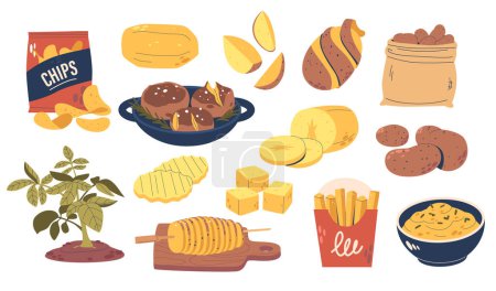Illustration for Potato Meals And Snacks Vector Collection Range From Raw Vegetable, Creamy Mashed Potatoes And Crispy Fries To Hearty Baked Potatoes, Savory Hash Browns, And Delightful Potato Chips or Tornado Spiral - Royalty Free Image