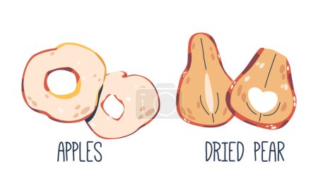 Illustration for Dried Apples and Pear Fruits, Natural Candies, Sweet, Chewy Snacks With Concentrated Flavors. They Retain The Essence Of Fresh Fruit, Offering Sweetness And Tartness. Cartoon Vector Illustration - Royalty Free Image