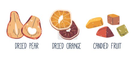 Fruits secs à la poire et à l'orange, collations déshydratées conservant sucres et nutriments naturels. Tranches et dés de fruits confits enrobés de sirop de sucre, ce qui améliore la saveur sucrée. Illustration vectorielle de bande dessinée