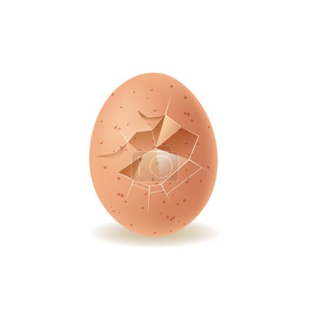 Zerbrochene Eierschale mit einer realistischen 3D-Textur. Isoliertes, gesprenkeltes braunes Ei mit sichtbaren Rissen und Scherben, das das Konzept der Fragilität und des natürlichen Vorkommens betont. Vektorillustration