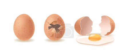 Ilustración de Etapas progresivas de un huevo de intacto a agrietado, y completamente abierto revelando la yema derramada. Ilustración realista del vector 3d aislada en fondo blanco - Imagen libre de derechos