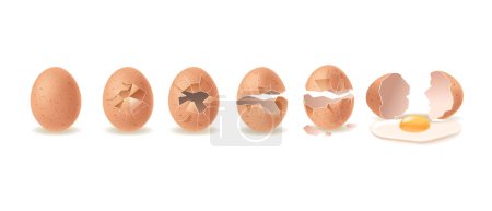 Vektor-Sequenz, die die Stadien eines braunen Eies zeigt, das progressiv aufbricht, bis es vollständig geöffnet ist, und das Eigelb aufdeckt und weiß. Konzept von Entwicklung, Wandel und Offenbarung isoliert auf weißem Hintergrund