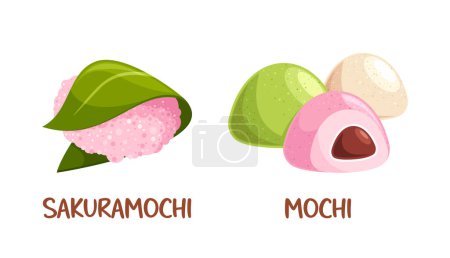 Dulces tradicionales japoneses, Sakura Mochi y diferentes sabores de Mochi. Ilustración vectorial de dibujos animados para presentaciones culturales, blogs culinarios y proyectos relacionados con la comida que celebran la cocina japonesa