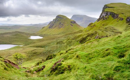 Téléchargez les photos : Beaux paysages montagneux écossais spectaculaires, sommets de montagne pointus et dentelés et falaises abruptes, le long des collines de Quiraing, herbe verte et arbustes couverts au milieu de l'été, nord-est de Skye. - en image libre de droit
