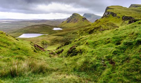Beautiful,dramatic Scottish mountainous scenery,pointed,jagged mountain peaks and sheer cliff faces, along the Quiraing hills walk,green grass and shrub covered in the mid summer,north eastern Skye.