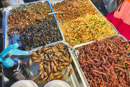 Foto de Popular street food,crunchy dried morsels,.A variety of invertebrates such as beetles,maggots,centipedes and scorpions,popular in southeast Asia. - Imagen libre de derechos