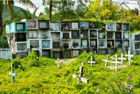 Foto de Interesante cementerio, junto al mar en Oslob, lleno de muchas tumbas, tumbas y cámaras que albergan a los fallecidos, cientos de crucifijos blancos, situado entre, selva tropical, palmeras junto a la pared del mar y la playa. - Imagen libre de derechos