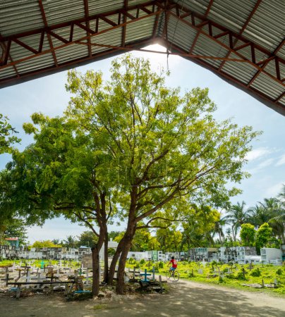 Foto de Atmosférico cementerio católico filipino, junto al mar del estrecho de Cebú, tumbas de la población local fallecida, dispuestos al azar y parcialmente sombreados por un árbol del sol de hornear. - Imagen libre de derechos