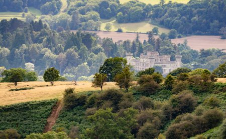 Foto de Monumento histórico, ubicado en un valle en medio de un hermoso follaje exuberante y verde durante el verano, prados y pastos, en paisajes rurales, típicos del oeste de Inglaterra.Un popular destino turístico británico. - Imagen libre de derechos