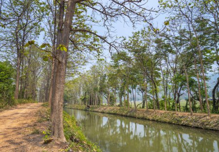 Un personnage éloigné est assis à pêcher, le long d'une rivière bordée d'arbres, des reflets d'arbres à la surface de l'eau calme, ombragés par un parasol solaire, sur un milieu d'après-midi typiquement chaud en Thaïlande,