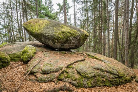 Photo for Wackelstein near Thurmansbang megalith granite rock formation in winter in bavarian forest, Germany - Royalty Free Image