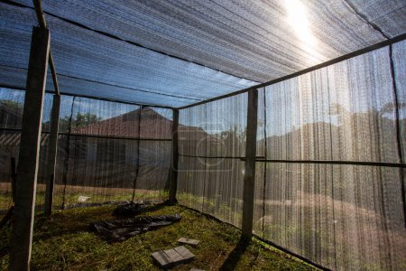 Téléchargez les photos : Black Shading Net dans une usine nouvellement créée avec Shading Net aide à filtrer la lumière du soleil. - en image libre de droit