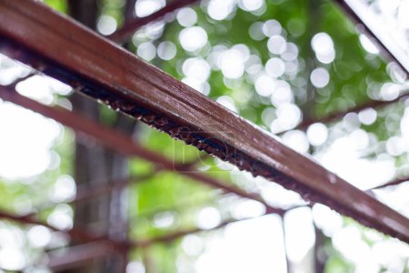Selective focus steel structure painted with crimson red rust-proof paint. rain-soaked steel structure green natural background