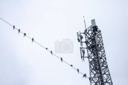 Selective focus antennas, signals, and mobile networks. There are many birds perched. There is space for text