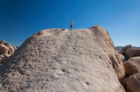 Téléchargez les photos : Une randonneuse triomphante au sommet d'un grand rocher dans la salle des horreurs du parc national Joshua Tree par un après-midi ensoleillé en Californie. - en image libre de droit