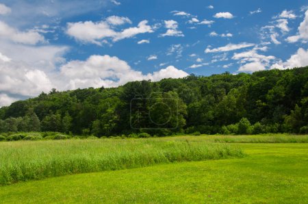 Foto de Un prado y un campo de hierba en el parque estatal Sunnybrook en torrington Connecticut en un día soleado de verano. - Imagen libre de derechos