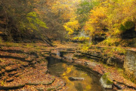 Foto de Un pequeño arroyo que fluye a través de un barranco dentro del parque estatal Watkins Glen en Nueva York en otoño. - Imagen libre de derechos