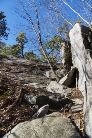 Foto de El sendero de los acantilados de piedra blanca que conduce a una pendiente rocosa en la conexión de boca plymouth en un día soleado cielo azul. - Imagen libre de derechos