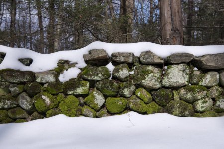 Foto de Una pared de roca cubierta de nieve en el sendero de montaña jones en New Hartford Connecticut en un día de invierno. - Imagen libre de derechos