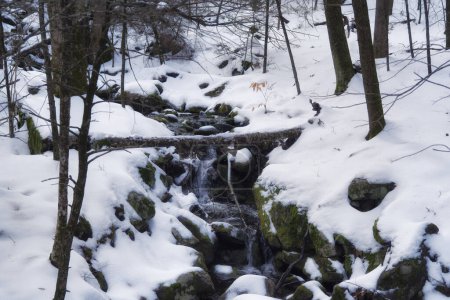 Téléchargez les photos : Un petit ruisseau sur le sentier de montagne jones dans le nouveau connecticut Hartford un jour d'hiver. - en image libre de droit