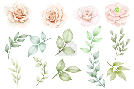 Téléchargez les photos : Ensemble d'aquarelle florale - en image libre de droit