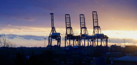 Photo for Four Felixstowe Dock Cranes at sunset - Royalty Free Image