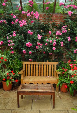 Photo for Garden  with climbing rose and chair. - Royalty Free Image