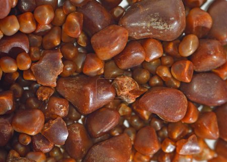 Photo for Gallstones background Close up - Royalty Free Image