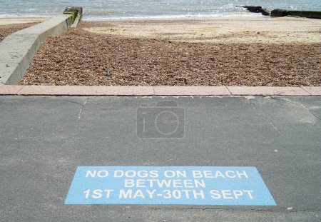 Téléchargez les photos : Panneau peint sur la promenade en bord de mer pas de chiens sur la plage Mai à septembre - en image libre de droit