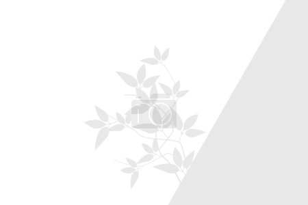 Schatten der Pflanze mit Blättern auf weißem Wandhintergrund. Gebraucht für Hintergründe, Kartons, tropische Konzepte, Herbst für Produktpräsentationspodium und Attrappe. Editierbar. EPS 10