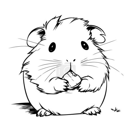 Illustration for Hamster cartoon. Black and white vector illustration for coloring book. - Royalty Free Image