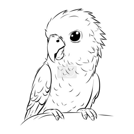 Illustration for Parrot isolated on a white background. Vector illustration in black and white colors. - Royalty Free Image