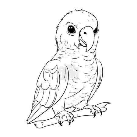 Illustration for Parrot sitting on a branch. Coloring book for adults. - Royalty Free Image