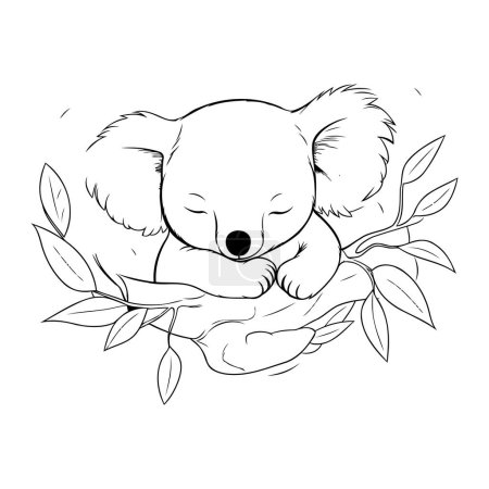 Téléchargez les illustrations : Mignon koala dormant sur la branche d'eucalyptus. Illustration vectorielle. - en licence libre de droit