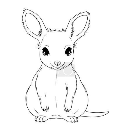 Illustration for Cute kangaroo. sketch for your design. Vector illustration - Royalty Free Image